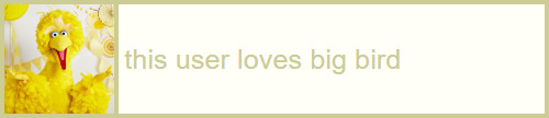 this  user loves big bird userbox