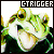 chrono trigger fanlisting