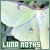 luna moths fanlisting