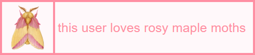 this user loves rosy maple moths userbox