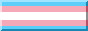 trans flag button