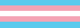 trans flag button